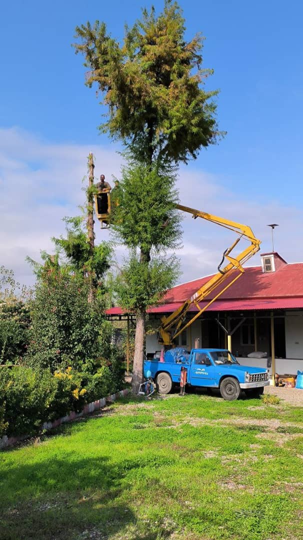 مزایای استفاده از خدمات بالابر سادات در صومعه‌سرا